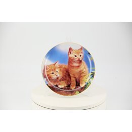 Коллекционная тарелка EXTEC EDITION "Такие сладкие, как сахар" Рыжие котята, Немецкий фарфор, Лимитированная серия, 20см
