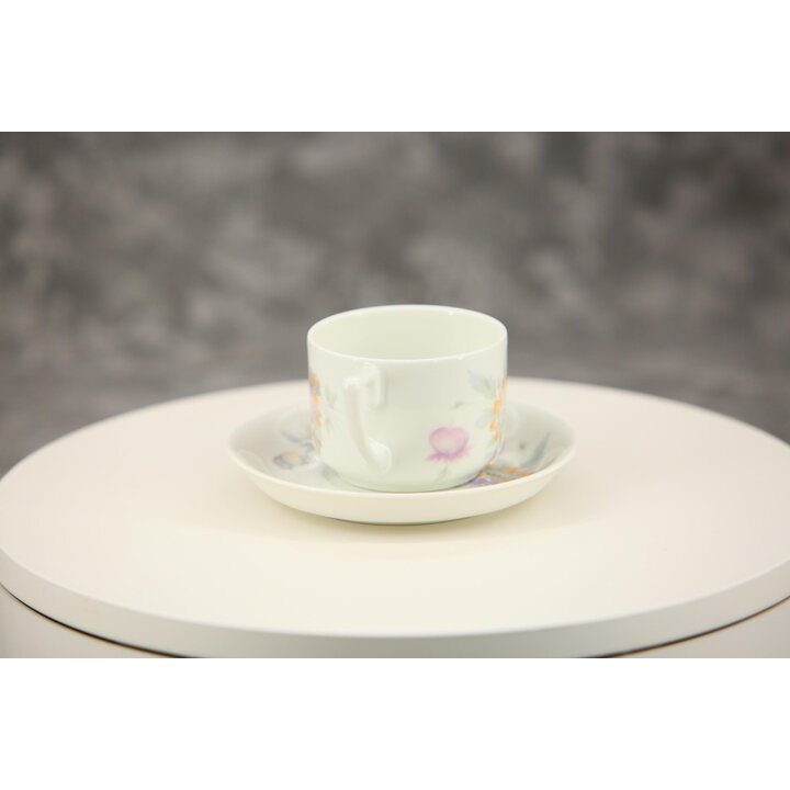 Taza de Moca y Plato, Taza de Café Rosenthal Isolde, Juego de 2 Piezas 100 ml, Porcelana de Baviera Vintage c 1940