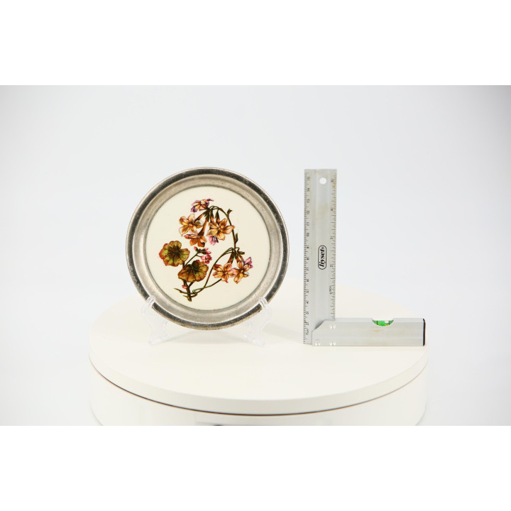 マックス・ダンホルン ニュルンベルク 陶器 プレート 1900年