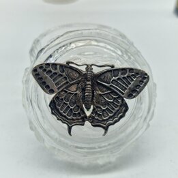 Kristall Schmuckdose Cristallo di Censo mit Schmetterling aus 925er Sterlingsilber, Italien, 1980er