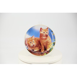 EXTEC EDITION Collectible Plate 'As Sweet as Sugar' Kittens