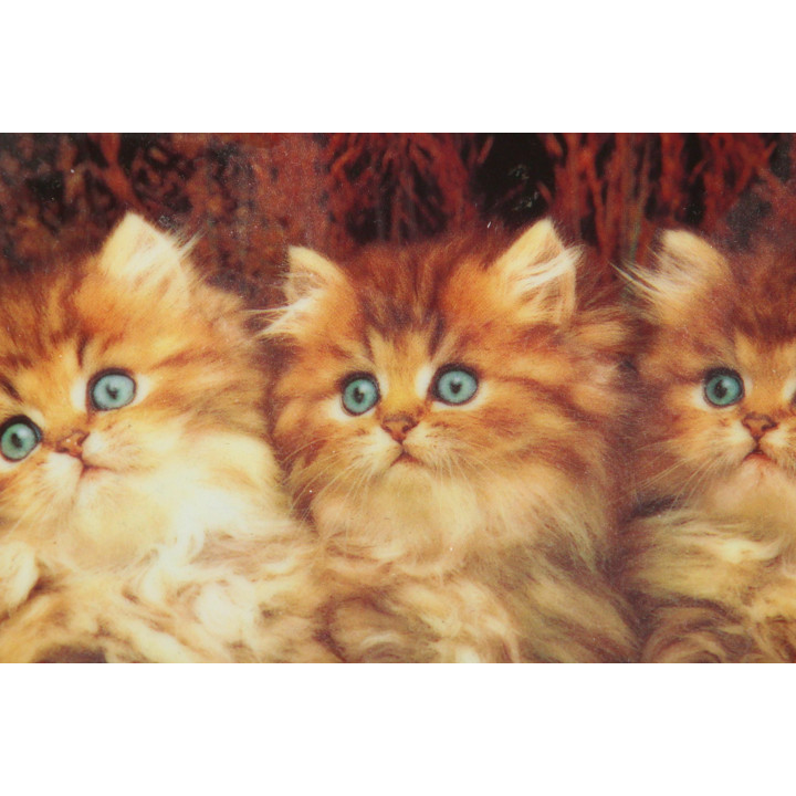 EXTEC EDITION Collectible Porcelain Plate - Three Little Kittens