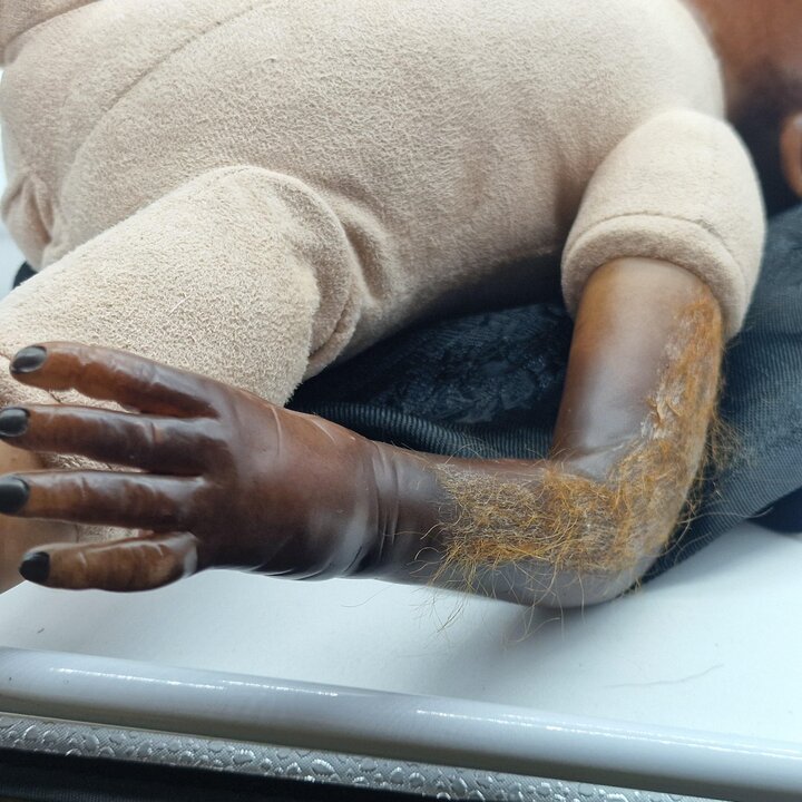 リアルなリボーンオランウータン人形 48cm, 1990年代ヴィンテージ赤ちゃん猿霊長類, 布とビニール製コレクターズアートドール