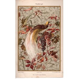 1894 Bird of Paradise Chromolithograph Joh Beckmann Dekorative Vorbilder Vol VI Julius Hoffmann Stuttgart Antique Art Nouveau Pr