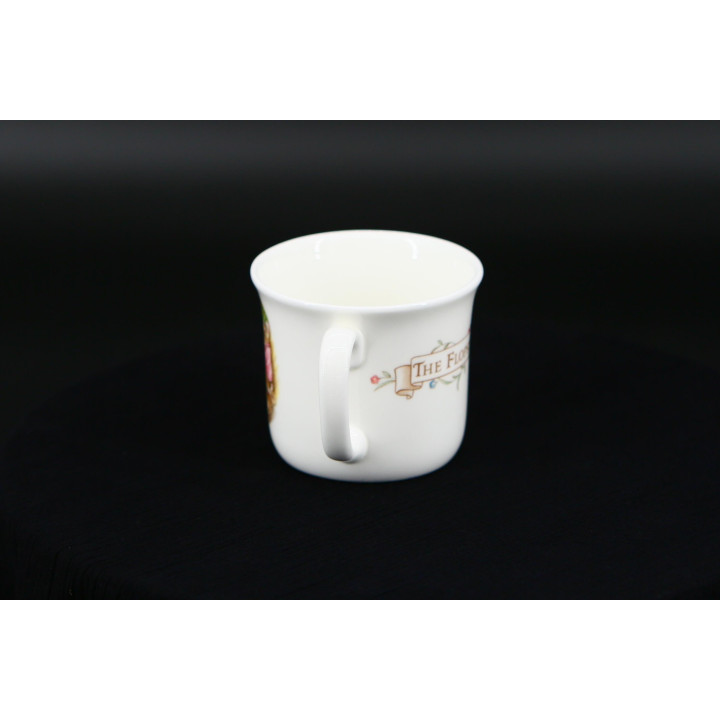 Tazza Royal Albert Beatrix Potter The Flopsy Bunnies 1986