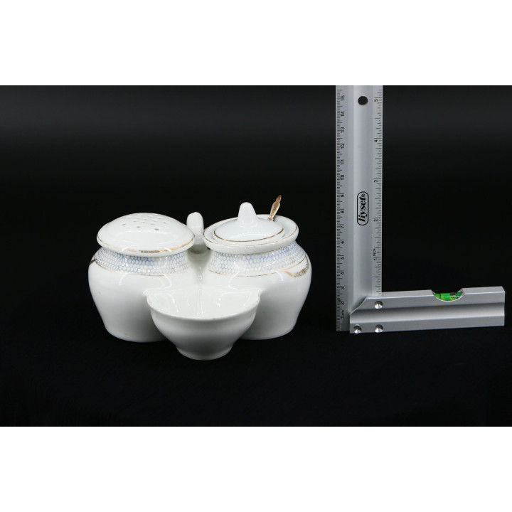 Antikes Ilfracombe Crested China Gewürzset (um 1930)