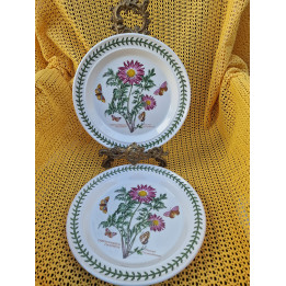 Portmeirion Botanic Garden Dinerbord - Chrysanthemum Coccineum Patroon, Engelse Keramiek Serveerschaal 26,7cm, Vintage Jaren 19…