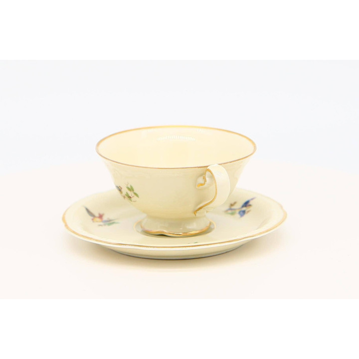 Royal Tettau Tasse & Untertasse (1945-1949) US-Zone Deutschland