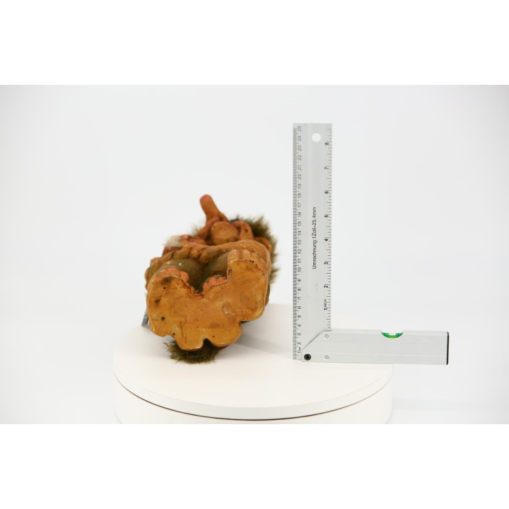 Couple de Trolls Norvégiens NyForm Originaux - 23 cm