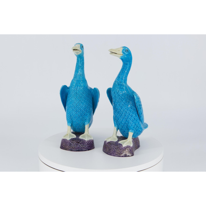 Paar Turquoise Chinese Porseleinen Ganzen - 20e Eeuw
