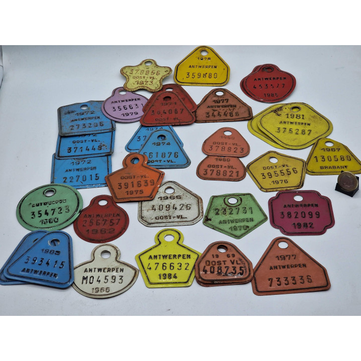 30 Vintage Belgian Cattle Tags (1960-1980) - Enamel Metal