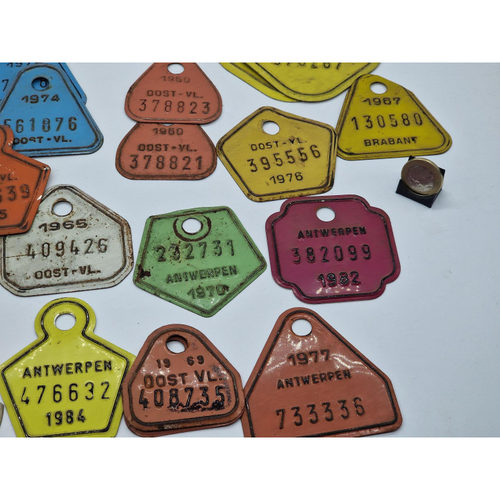 30 Vintage Belgian Cattle Tags (1960-1980) - Enamel Metal