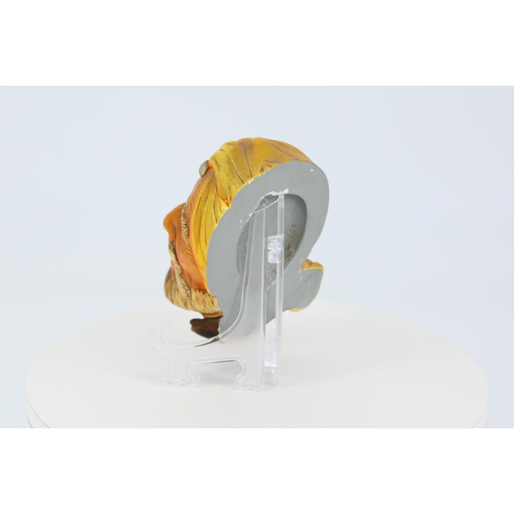 Scultura da parete Naturecraft Ahmid