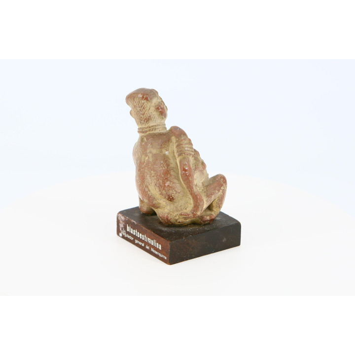 Vintage Colima Figurine Almirall Pharma - Medical Collectible