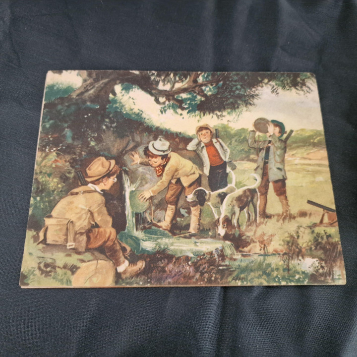 Antyczne puzzle 12 kostek z tektury - lata 50. XX wieku